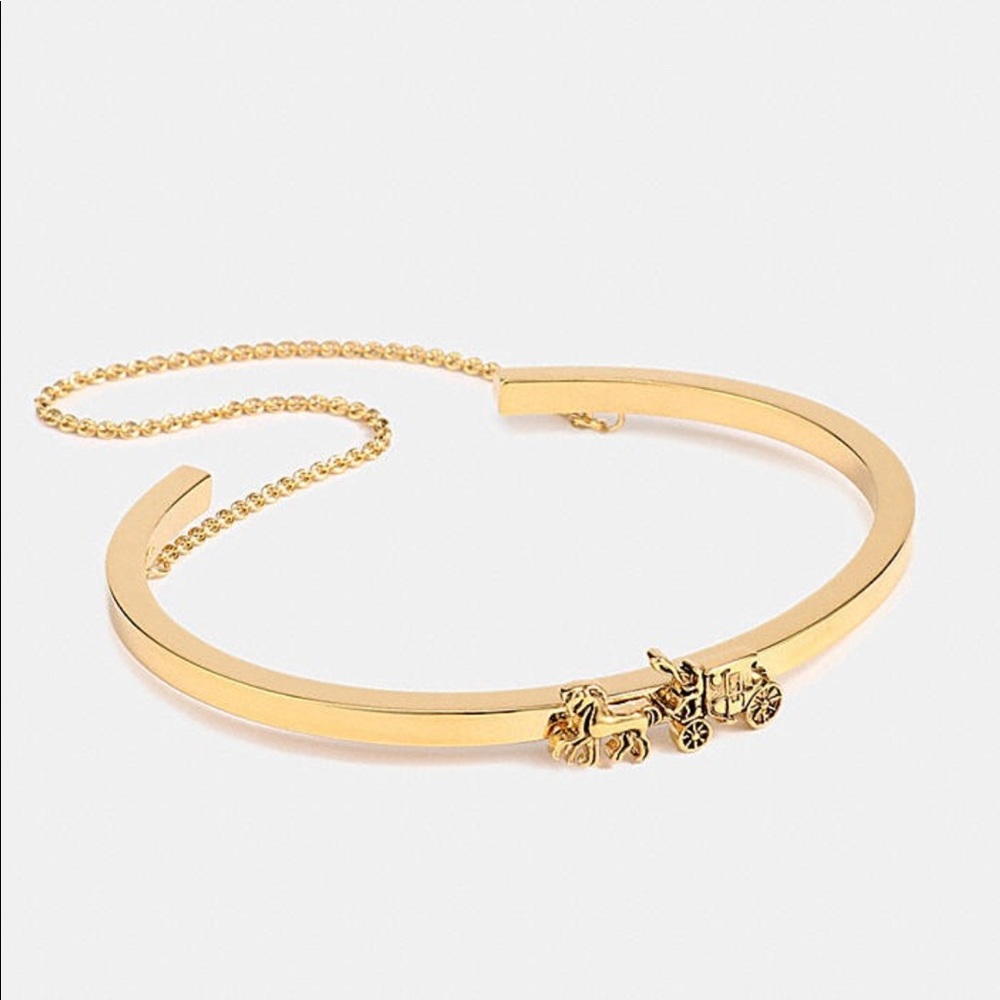 Not For Sale Brand New Coach Bracelet and earrings